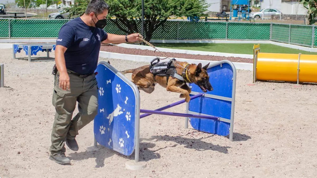 Parque recreativo para perros